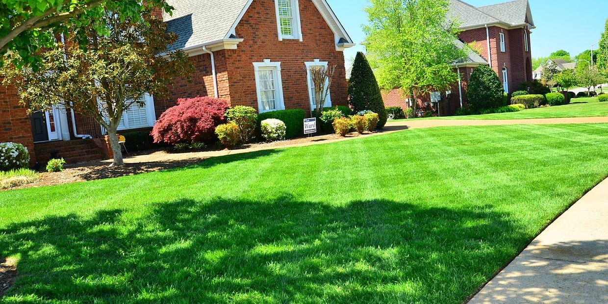 neatly trimmed yard