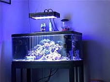 led light for aquarium